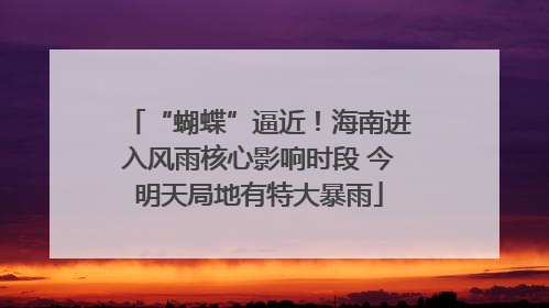 “蝴蝶”逼近！海南进入风雨核心影响时段 今明天局地有特大暴雨