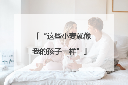 “这些小麦就像我的孩子一样”