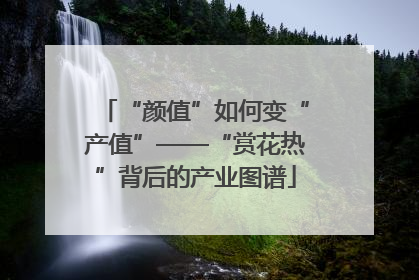 “颜值”如何变“产值”——“赏花热”背后的产业图谱