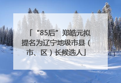 “85后”郑皓元拟提名为辽宁地级市县（市、区）长候选人