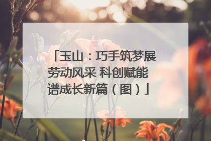 玉山：巧手筑梦展劳动风采 科创赋能谱成长新篇（图）