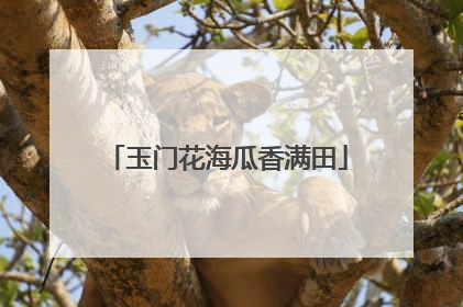 玉门花海瓜香满田