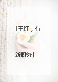 王红，有新职务