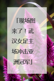 现场图来了！武汉女足主场冲击亚洲冠军