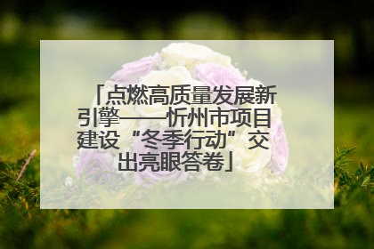 点燃高质量发展新引擎——忻州市项目建设“冬季行动”交出亮眼答卷