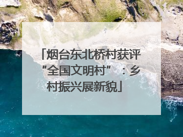 烟台东北桥村获评“全国文明村”：乡村振兴展新貌
