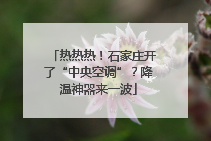 热热热！石家庄开了“中央空调”？降温神器来一波