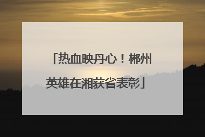 热血映丹心！郴州英雄在湘获省表彰