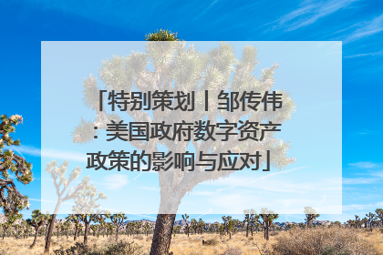 特别策划丨邹传伟：美国政府数字资产政策的影响与应对