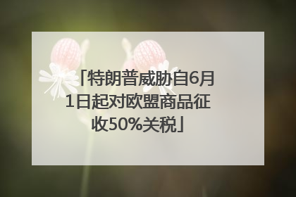 特朗普威胁自6月1日起对欧盟商品征收50%关税