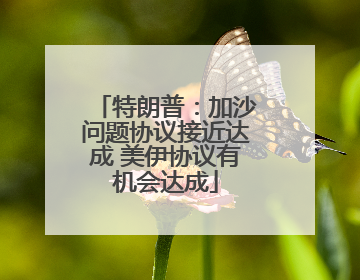特朗普：加沙问题协议接近达成 美伊协议有机会达成