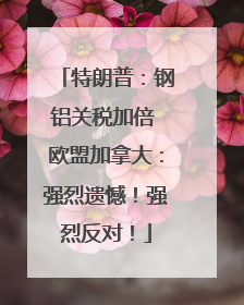 特朗普：钢铝关税加倍 欧盟加拿大：强烈遗憾！强烈反对！