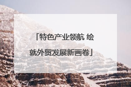特色产业领航 绘就外贸发展新画卷