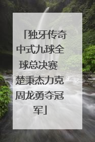 独牙传奇中式九球全球总决赛 楚秉杰力克周龙勇夺冠军