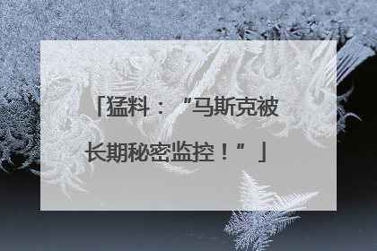 猛料：“马斯克被长期秘密监控！”
