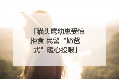 猫头鹰幼崽受惊拒食 民警“奶爸式”暖心投喂