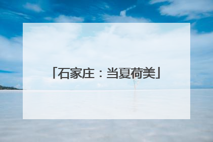 石家庄：当夏荷美