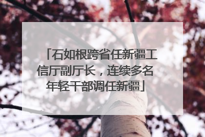 石如根跨省任新疆工信厅副厅长，连续多名年轻干部调任新疆