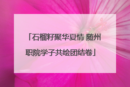 石榴籽聚华夏情 随州职院学子共绘团结卷