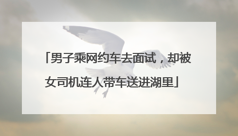 男子乘网约车去面试，却被女司机连人带车送进湖里