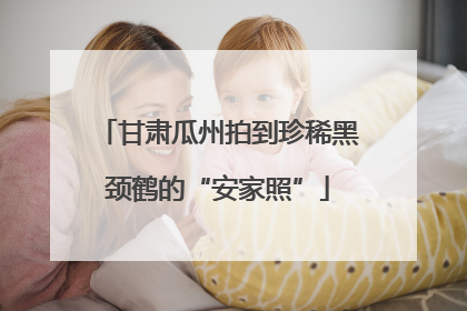 甘肃瓜州拍到珍稀黑颈鹤的“安家照”
