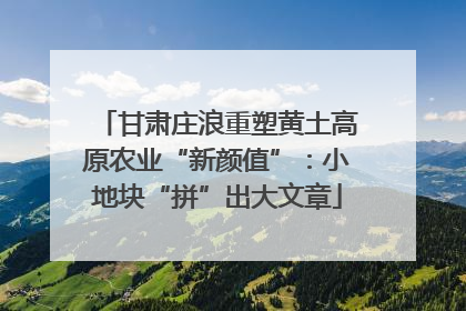 甘肃庄浪重塑黄土高原农业“新颜值”：小地块“拼”出大文章