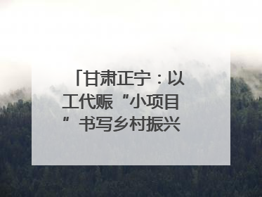 甘肃正宁：以工代赈“小项目”书写乡村振兴“大文章”