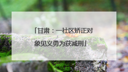 甘肃：一社区矫正对象见义勇为获减刑