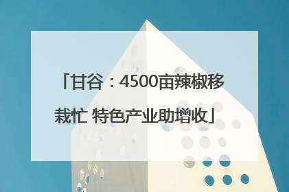 甘谷：4500亩辣椒移栽忙 特色产业助增收
