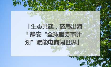 生态共建，破局出海！静安“全球服务商计划”赋能电商闯世界