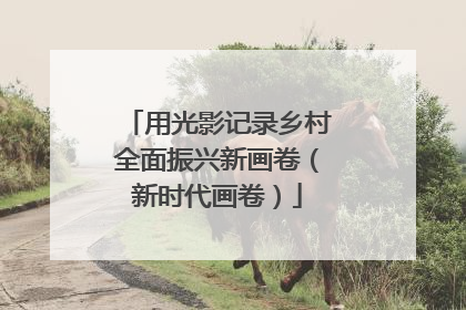 用光影记录乡村全面振兴新画卷（新时代画卷）