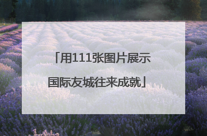 用111张图片展示国际友城往来成就
