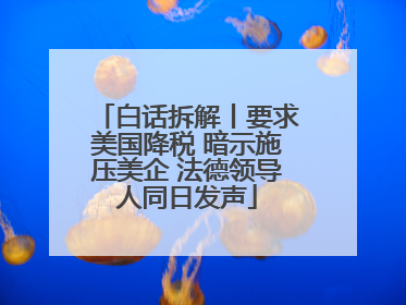 白话拆解丨要求美国降税 暗示施压美企 法德领导人同日发声