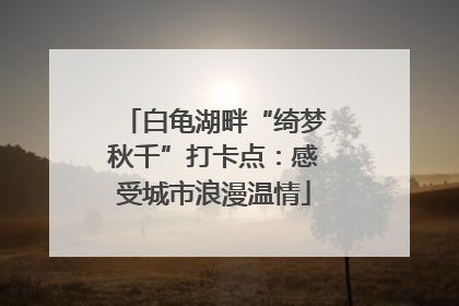 白龟湖畔“绮梦秋千”打卡点：感受城市浪漫温情