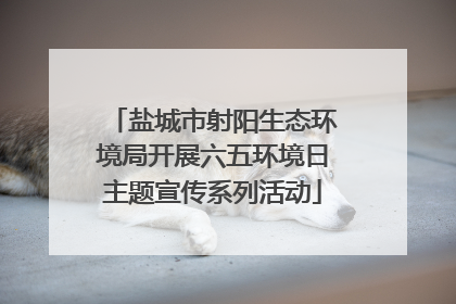 盐城市射阳生态环境局开展六五环境日主题宣传系列活动