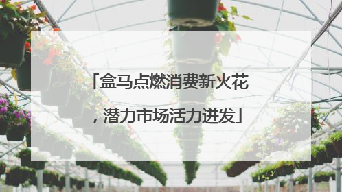 盒马点燃消费新火花，潜力市场活力迸发
