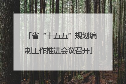 省“十五五”规划编制工作推进会议召开