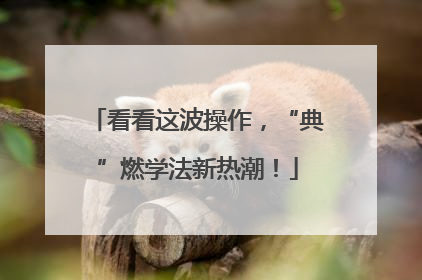 看看这波操作，“典”燃学法新热潮！