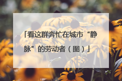 看这群奔忙在城市“静脉”的劳动者（图）