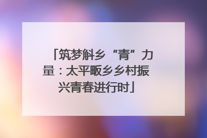 筑梦斛乡“青”力量：太平畈乡乡村振兴青春进行时