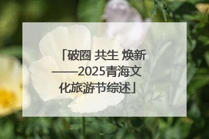 破圈 共生 焕新——2025青海文化旅游节综述
