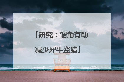 研究：锯角有助减少犀牛盗猎