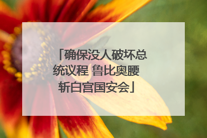 确保没人破坏总统议程 鲁比奥腰斩白宫国安会