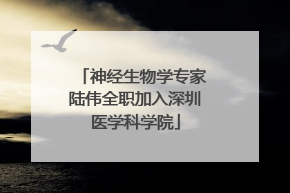 神经生物学专家陆伟全职加入深圳医学科学院