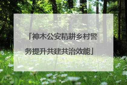 神木公安精耕乡村警务提升共建共治效能