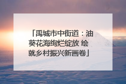 禹城市中街道：油葵花海绚烂绽放 绘就乡村振兴新画卷
