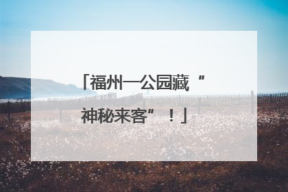福州一公园藏“神秘来客”！