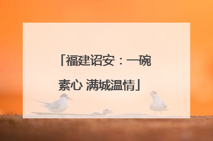 福建诏安：一碗素心 满城温情