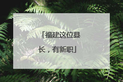 福建这位县长，有新职