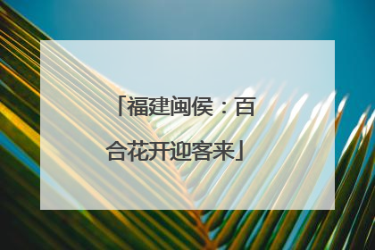福建闽侯：百合花开迎客来